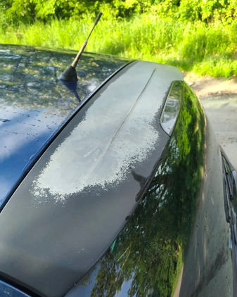Renault Clio cena 3250 przebieg: 217000, rok produkcji 2002 z Poznań małe 326